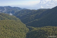 Het grootste gedeelte van Papoea ziet er nog gewoon zo uit: dichte regenwouden zonder economische ontwikkeling