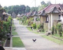 Een uitgestorven dorpje in Noordoost-Bali tijdens Nyepi.