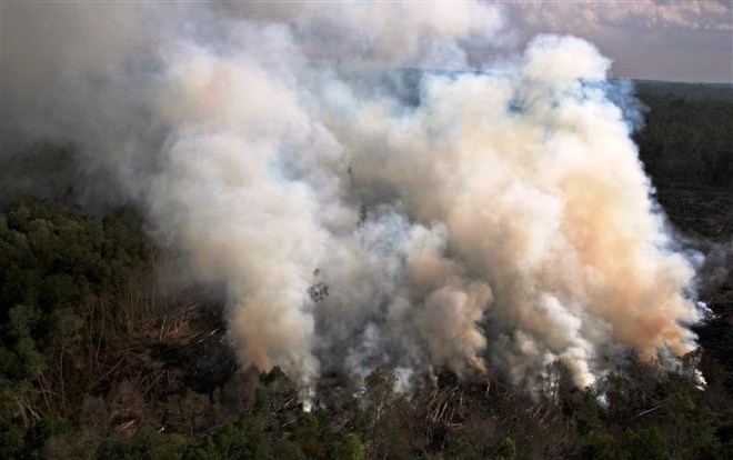 Nadat het bruikbare hout is gekapt worden vaak bosbranden gesticht om de waardeloze ondergroei te verwijderen en het land vruchtbaar te maken. Dit leidt soms tot ongecontroleerde branden, en vaak tot grote luchtverontreiniging. Geregeld verspreidt de rook zich van Borneo en Sumatra tot aan Singapore en Maleisië.