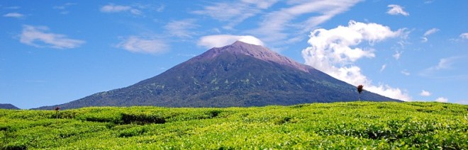 De Kerinci torent ver boven de omgeving uit.