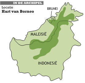 De locatie van het Hart van Borneo op het eiland. Het gebied strekt zich uit over Indonesië, Maleisië en Brunei.