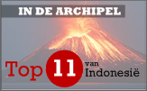 top11vulkanen