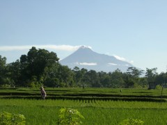Het gebied van Kaliurang, aan de voet van de Merapi-vulkaan.