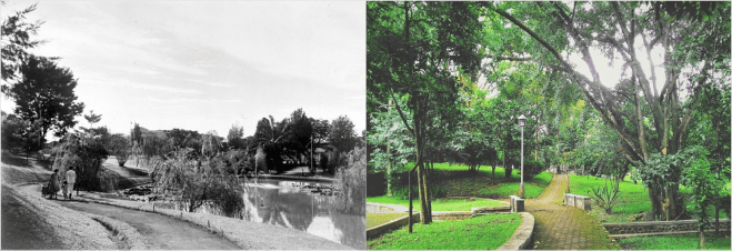 Molukkenpark Taman Maluku.png