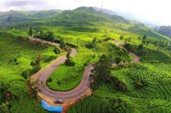 puncak-theeplantages