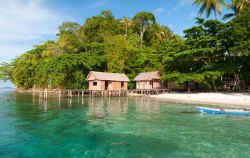 Homestay Raja Ampat