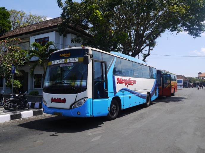 bus Denpasar Jember