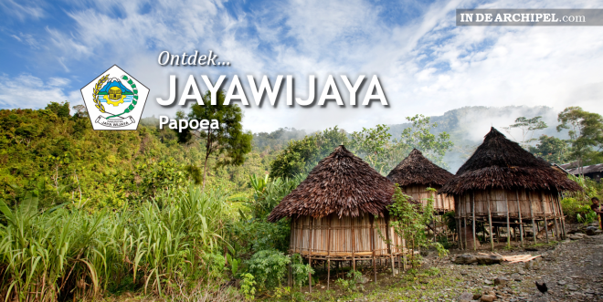Ontdek Jayawijaya.png