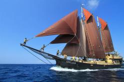 Adelaar liveaboard