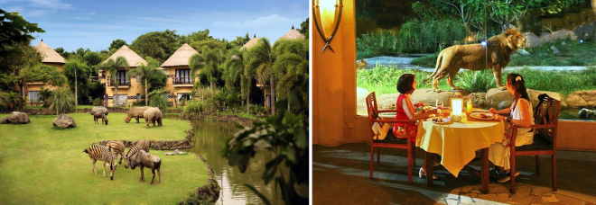 Mara River Safari Lodge hotel Bali.png