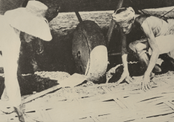 Vickers Vimy in Soerabaja