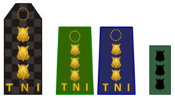 Kolonel TNI.png